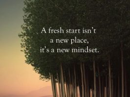 Inspirational Dispatch - The Official Quote Series