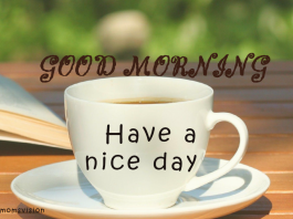 Motivational Quotes which will work like a Fuel for Success